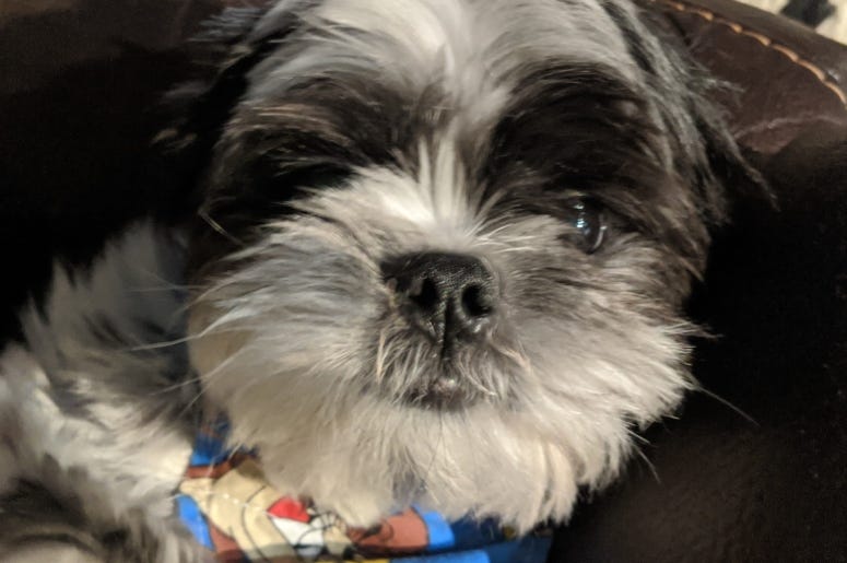 Rudy chilling