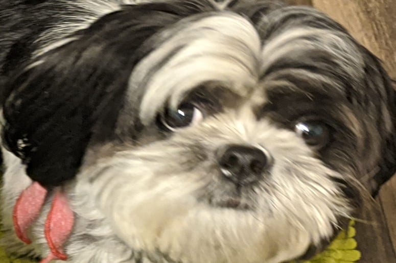 Rudy Roo