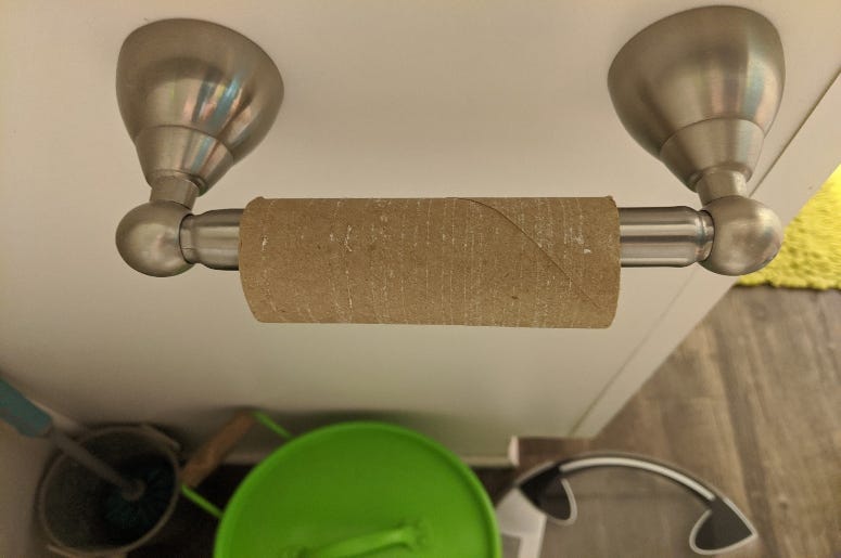 TP cardboard roll