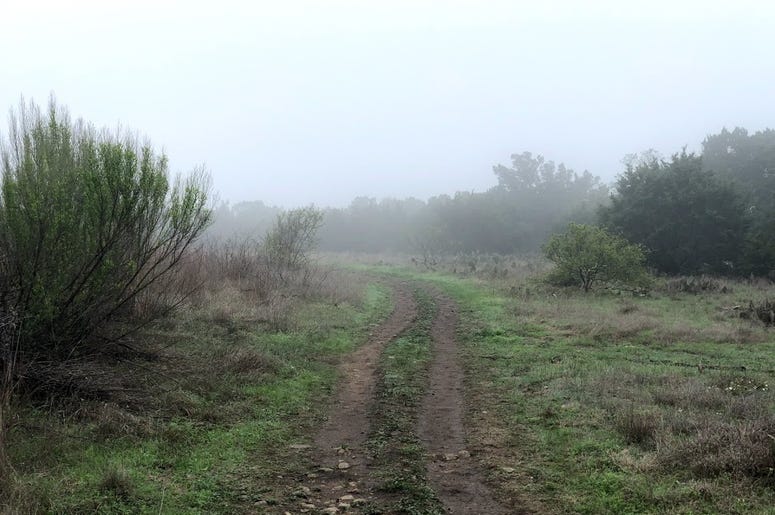 foggy