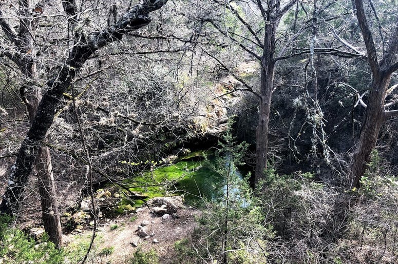 green pool