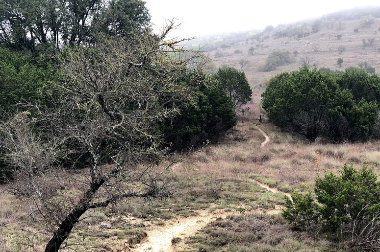 path