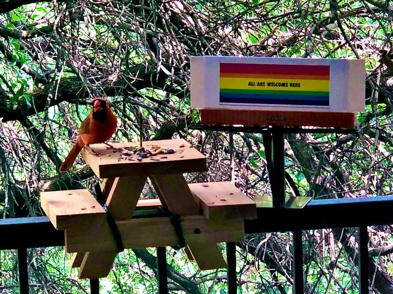 cardinal