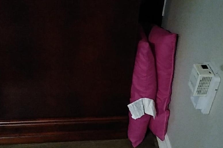 Pink Pillow Save