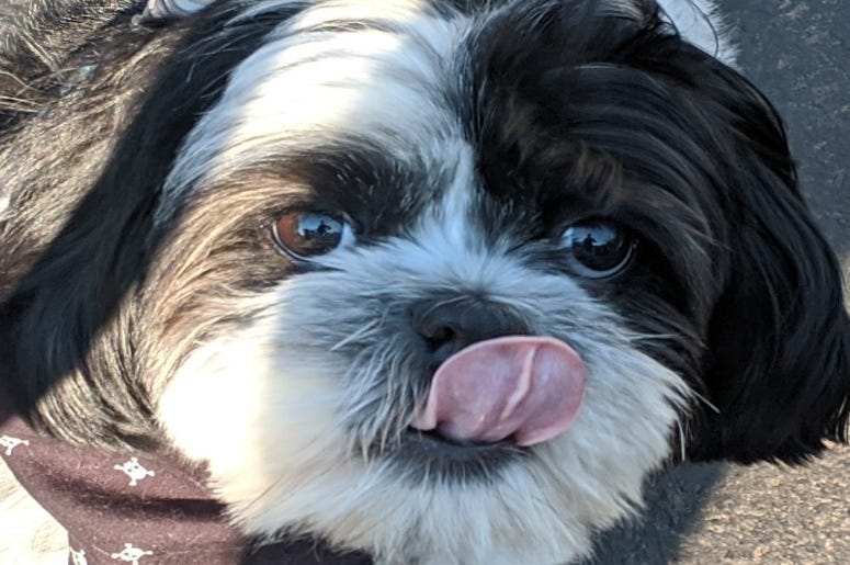 Rudy's Big Tongue Lick Up