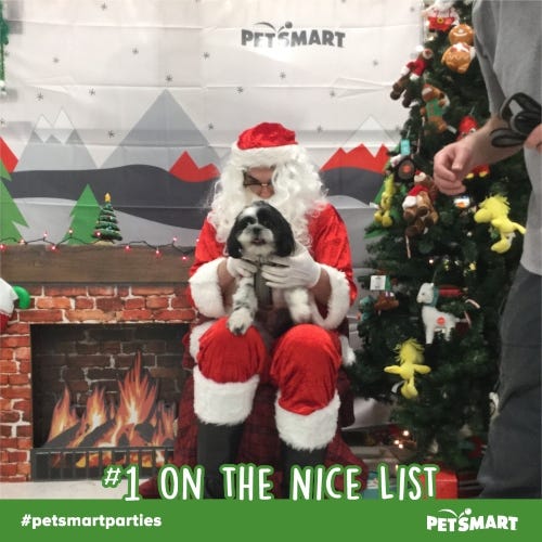 Rudy's 1st Santa photo Petsmart version