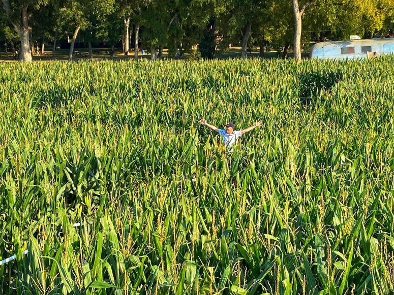 maze