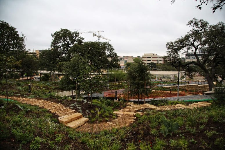 plants 2