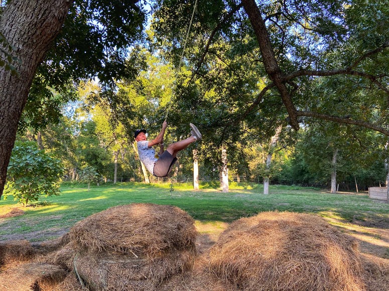 swing