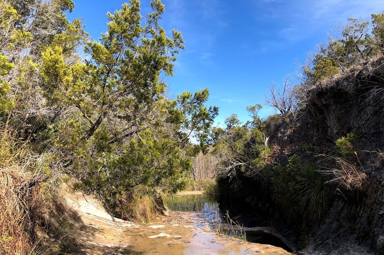 pedernales