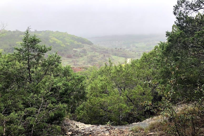 view