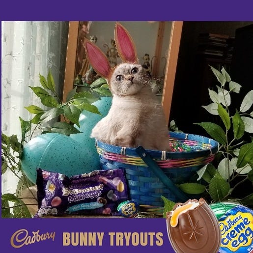 Cadbury