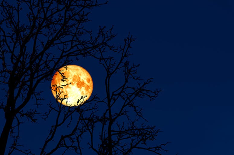 Full moon