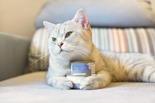 Cat Food Recall
