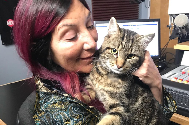 pet of the day