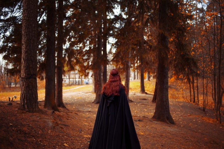 Young beautiful and mysterious woman in woods, in black cloak with hood, image of forest elf or witch, back Young beautiful and mysterious woman in woods, in black cloak with hood, image of forest elf or witch, back