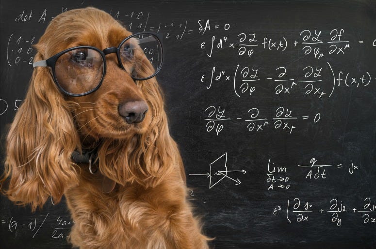 Dog Genius Dog Genius