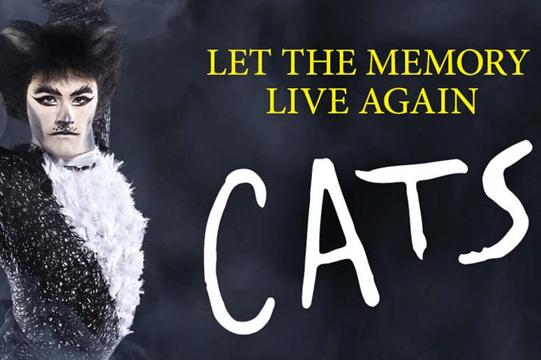 cats