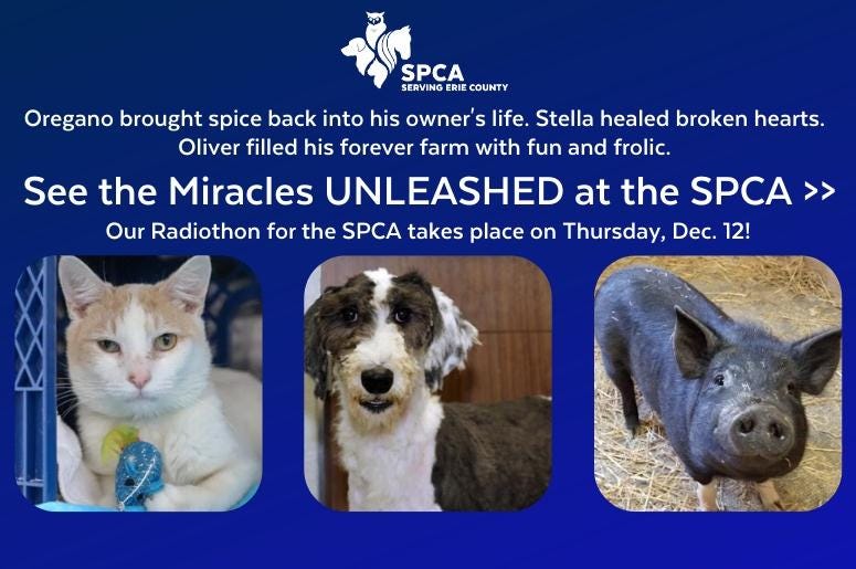 spca