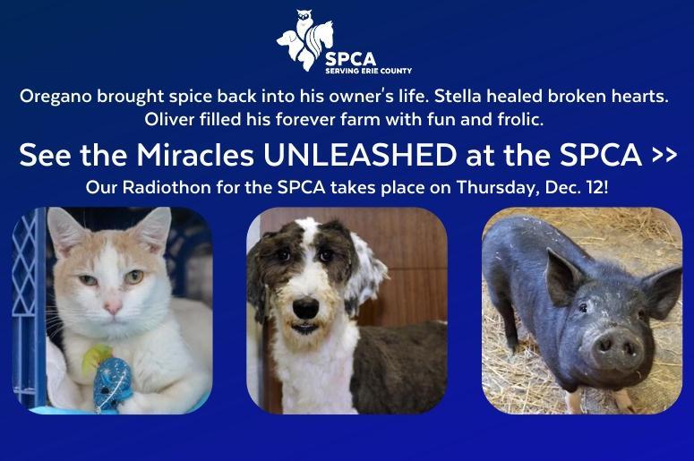 spca