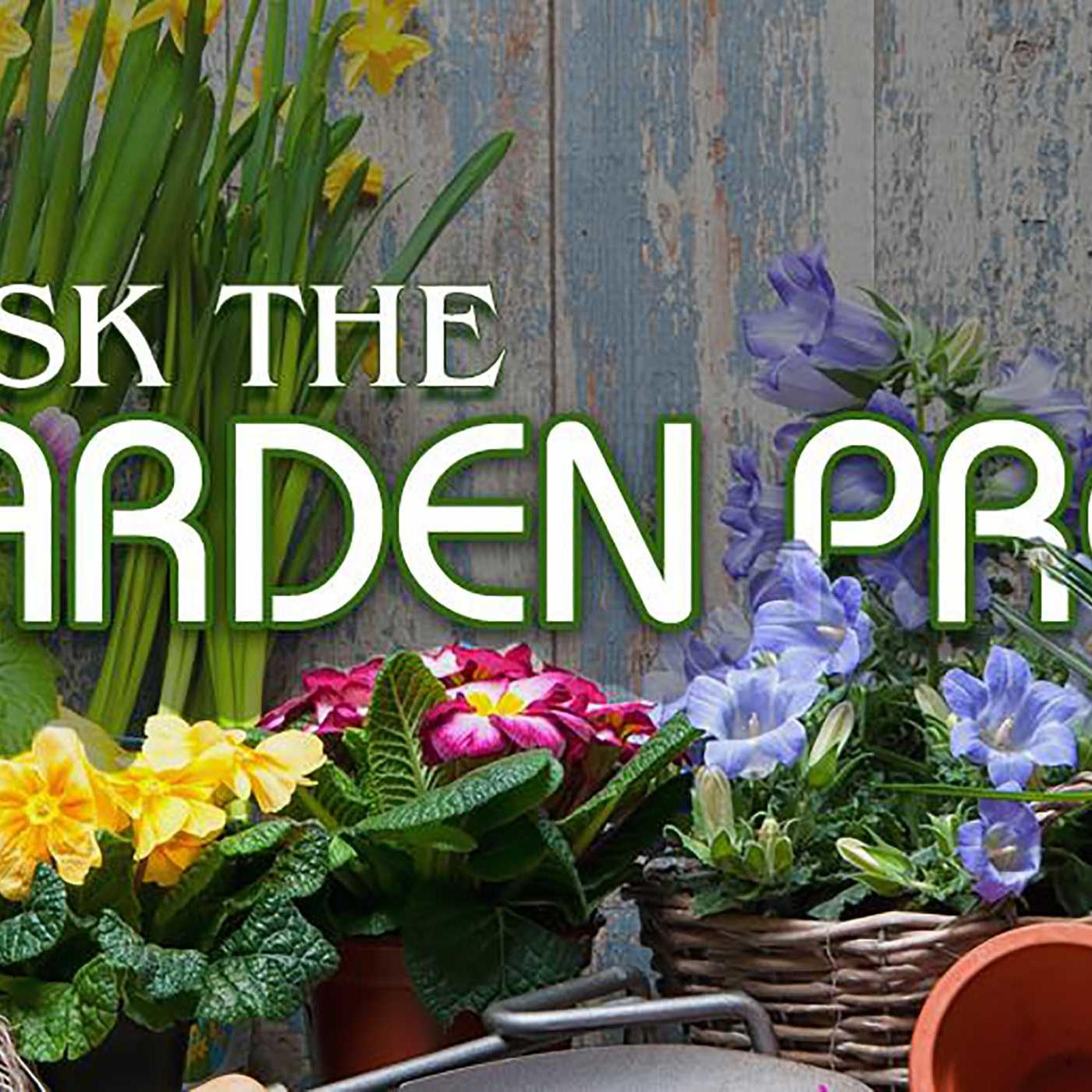 Ask The Garden Pros