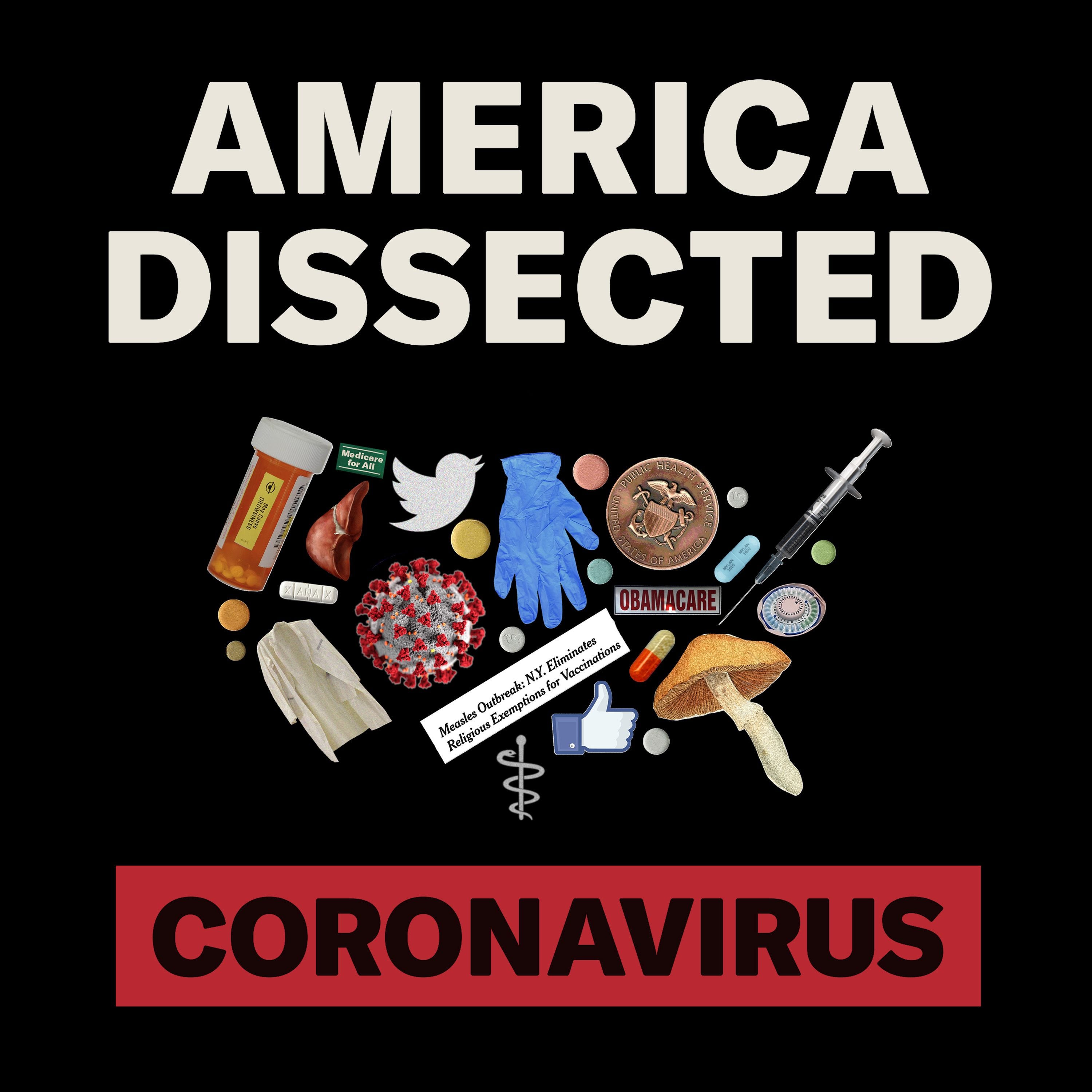 America Dissected