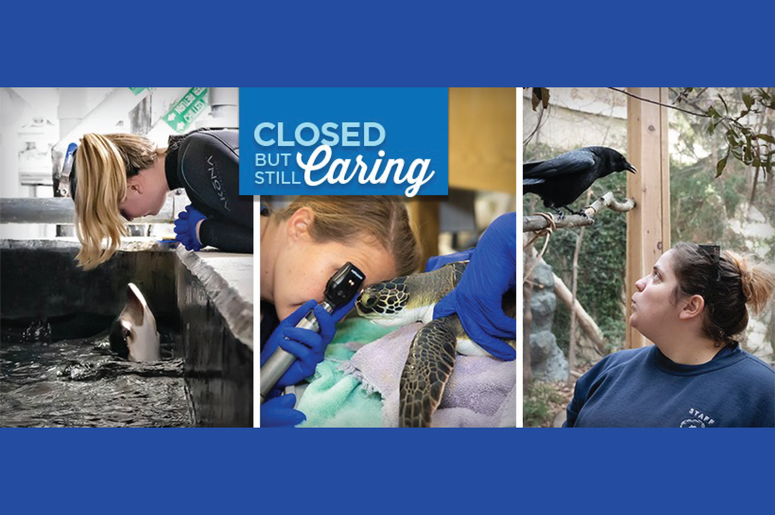 Closed But Still Caring