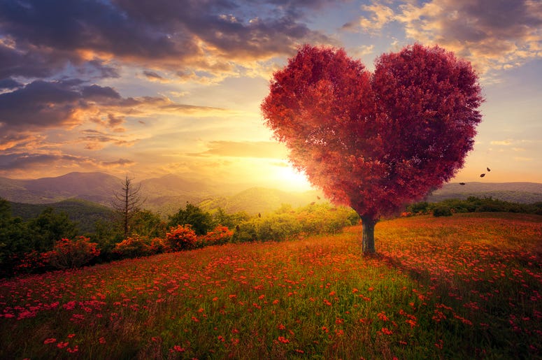 v day tree