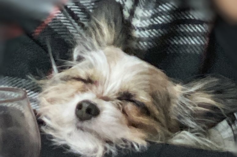 chewy