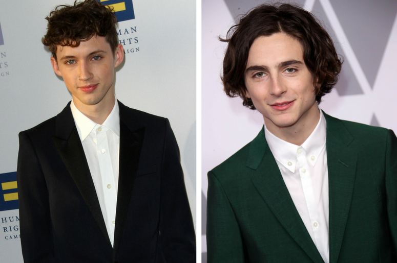 Troye Sivan & Timothée Chalamet