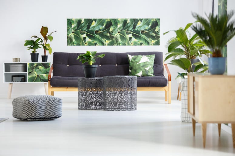 Green living room Green living room