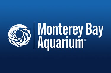 Monterey Bay Aquarium Monterey Bay Aquarium