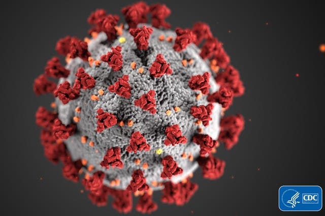 coronavirus
