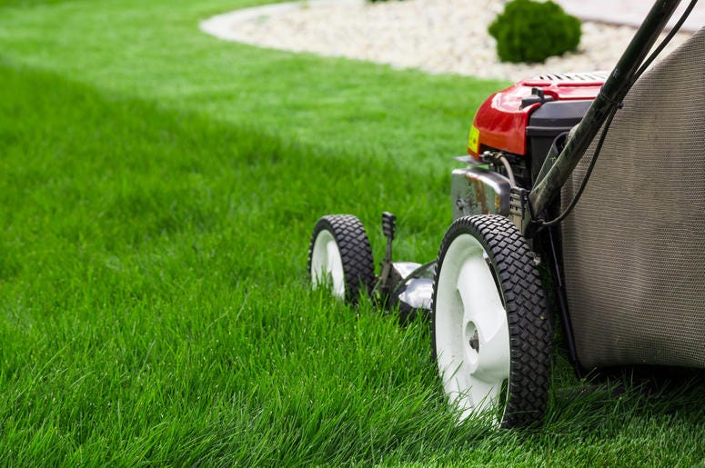 Lawn mower. Cutting, gardener Lawn mower. Cutting, gardener (Photo credit: Mariusz Blach)