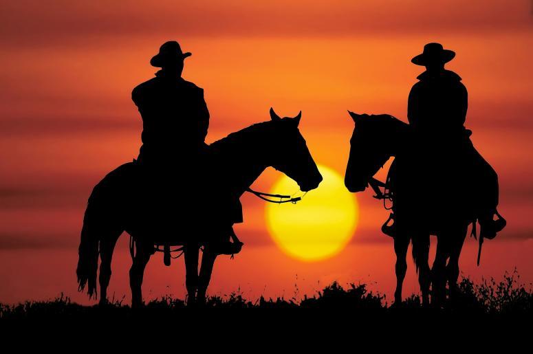 Dream Big…In the Wild, Wild West Dream Big…In the Wild, Wild West