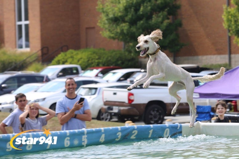 Woofstock Smyrna 2019 Woofstock Smyrna 2019