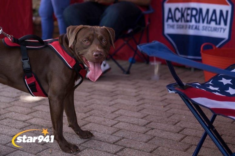 Woofstock Smryna 2018 Woofstock Smryna 2018