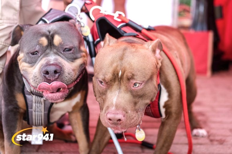 Woofstock Smryna 2018 Woofstock Smryna 2018