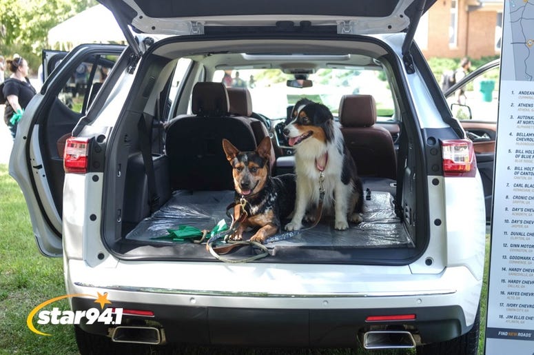 Woofstock Smryna 2018 Woofstock Smryna 2018