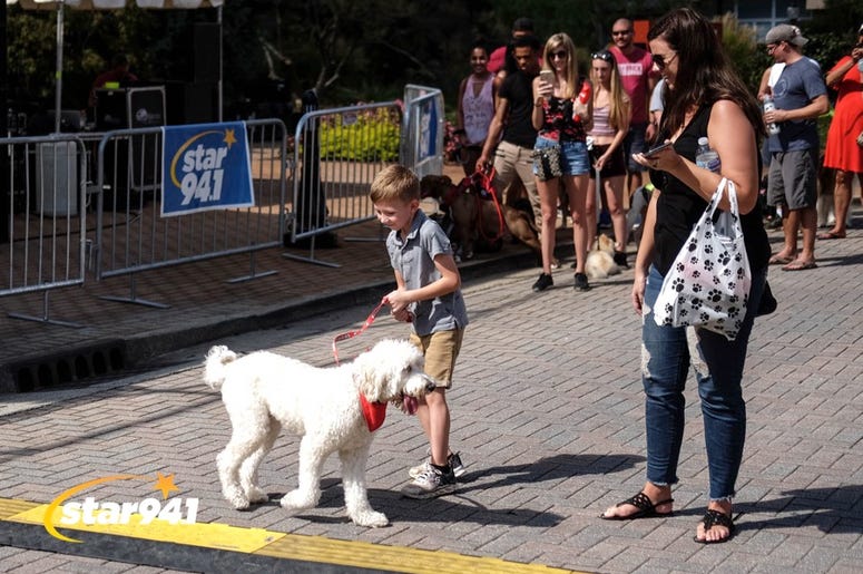 Woofstock Smryna 2018 Woofstock Smryna 2018