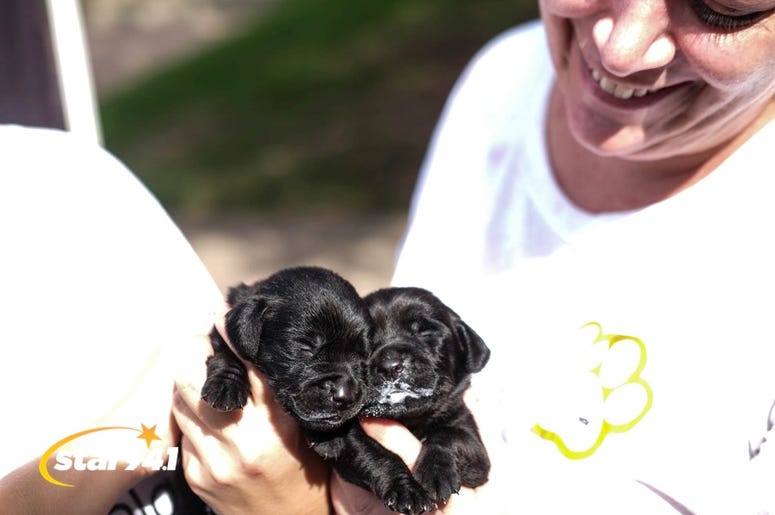Woofstock Smryna 2018 Woofstock Smryna 2018
