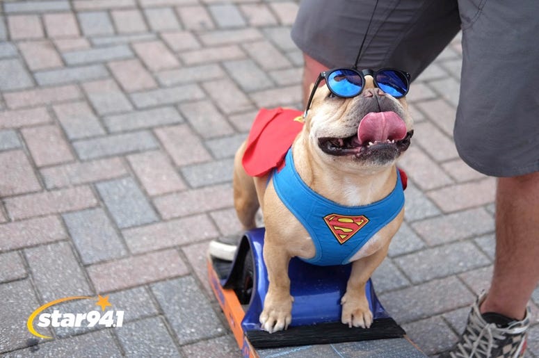 Woofstock Smryna 2018 Woofstock Smryna 2018