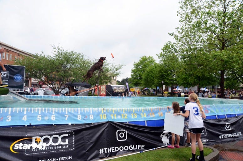 Woofstock Suwanee 2019 Woofstock Suwanee 2019