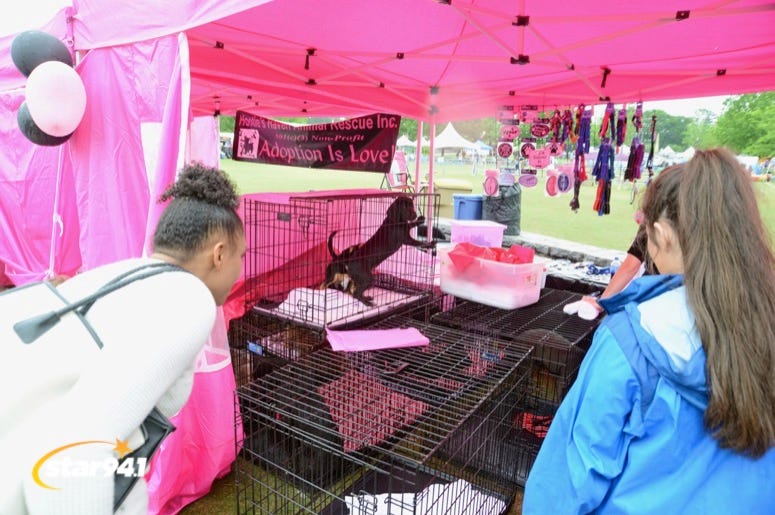 Woofstock Suwanee 2019 Woofstock Suwanee 2019
