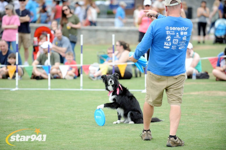 Woofstock Suwanee 2018 Woofstock Suwanee 2018