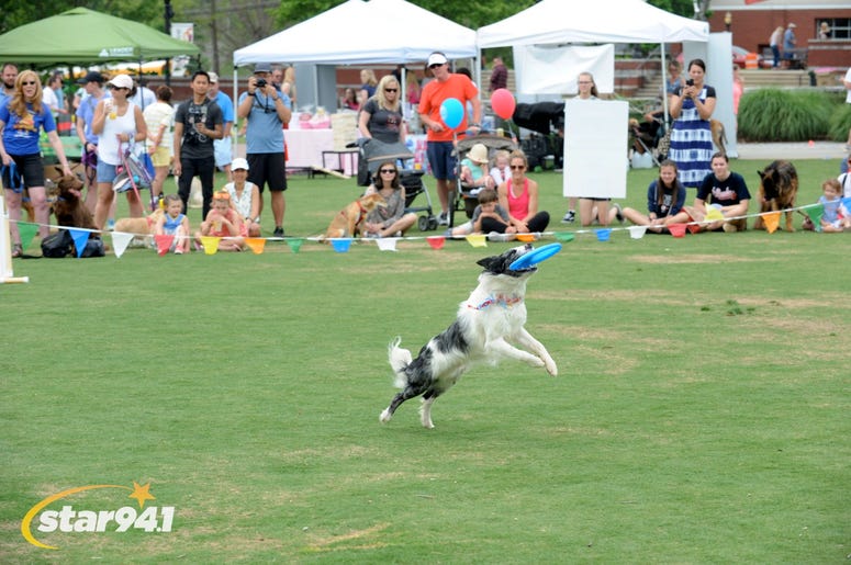 Woofstock Suwanee 2018 Woofstock Suwanee 2018