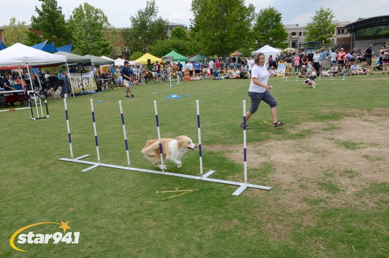 Woofstock Suwanee 2018 Woofstock Suwanee 2018