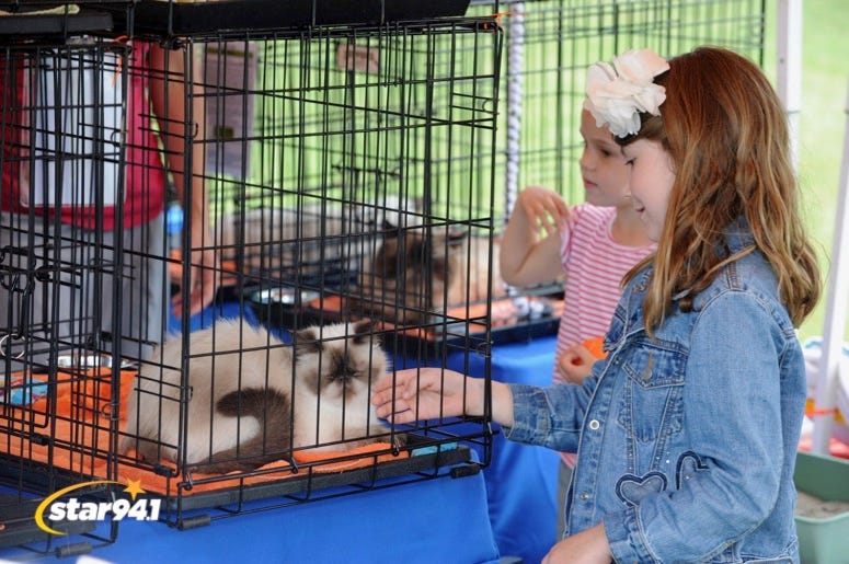 Woofstock Suwanee 2019 Woofstock Suwanee 2019