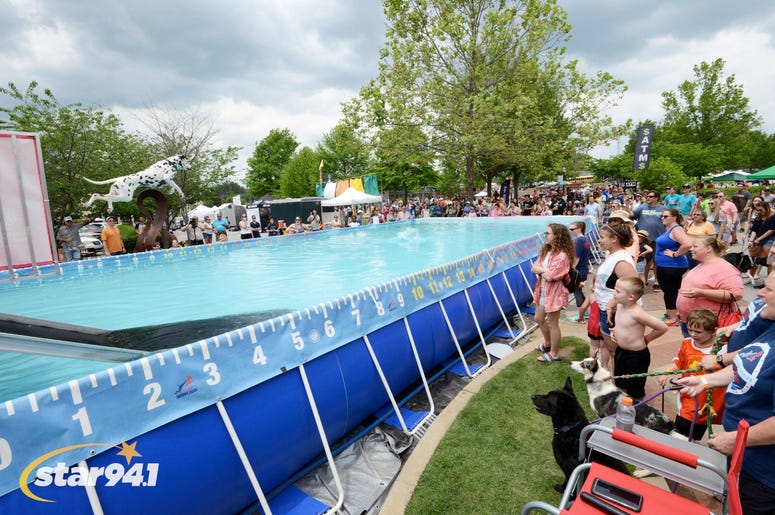 Woofstock Suwanee 2018 Woofstock Suwanee 2018