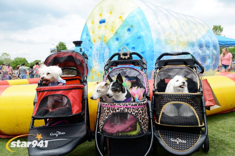 Woofstock Suwanee 2018 Woofstock Suwanee 2018